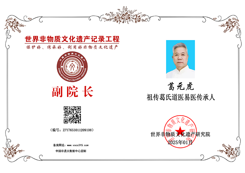 葛元虎 ZFY7653011209108