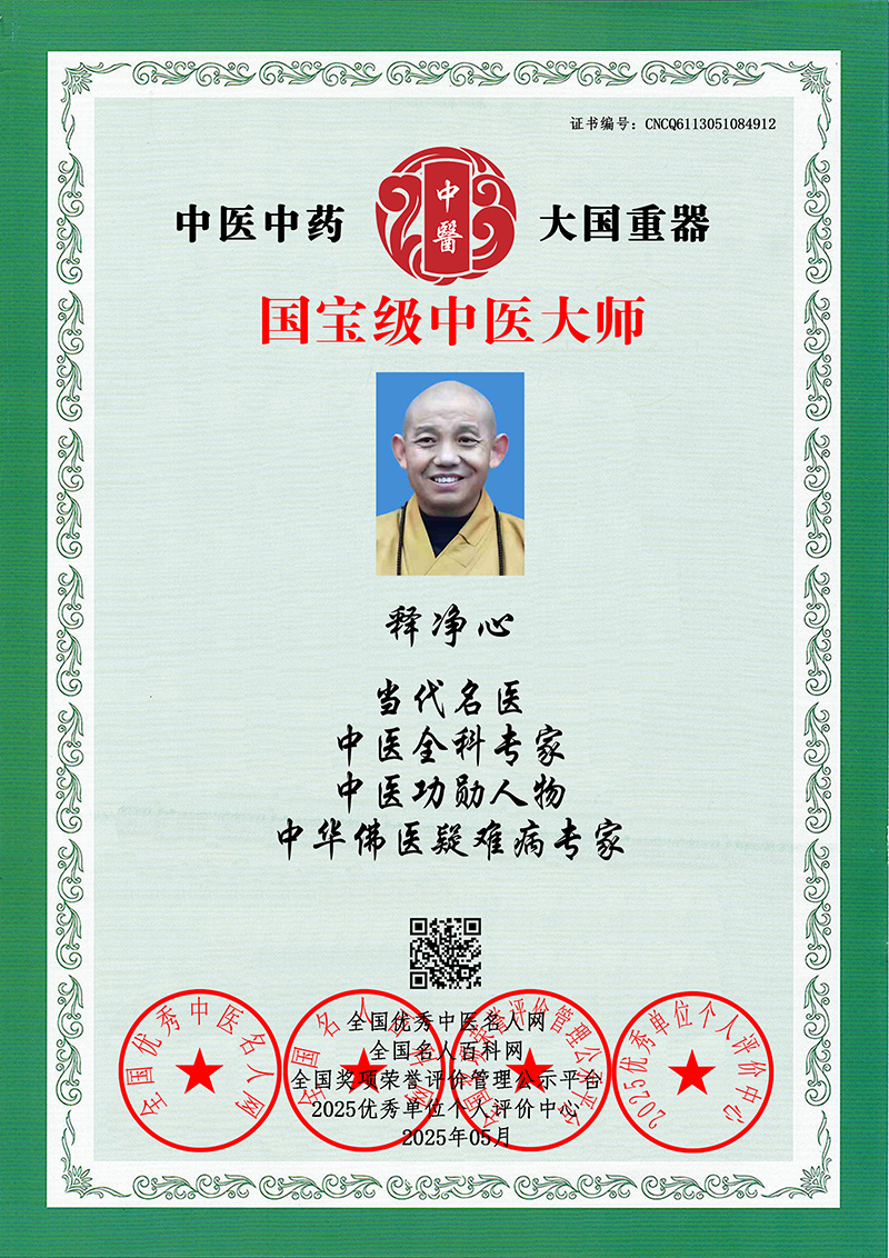 释净心 CNCQ6113051084912