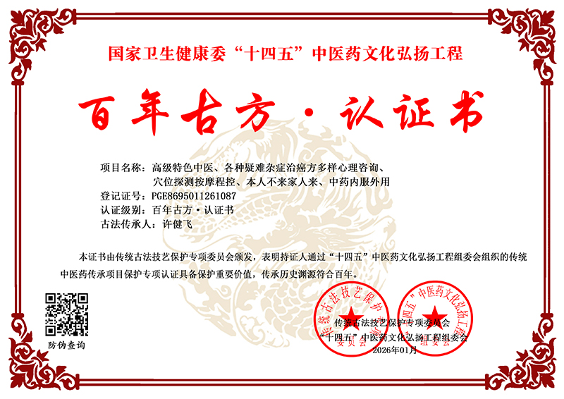 许健飞 PGE8695011261087